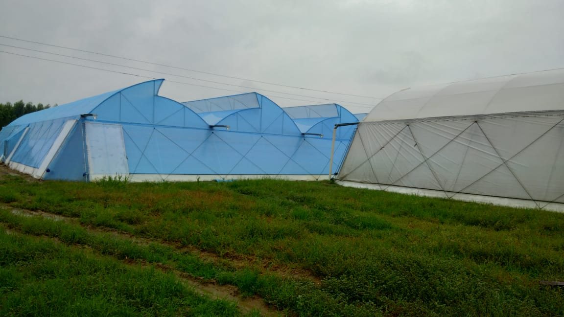 Estructura de invernadero con cubierta