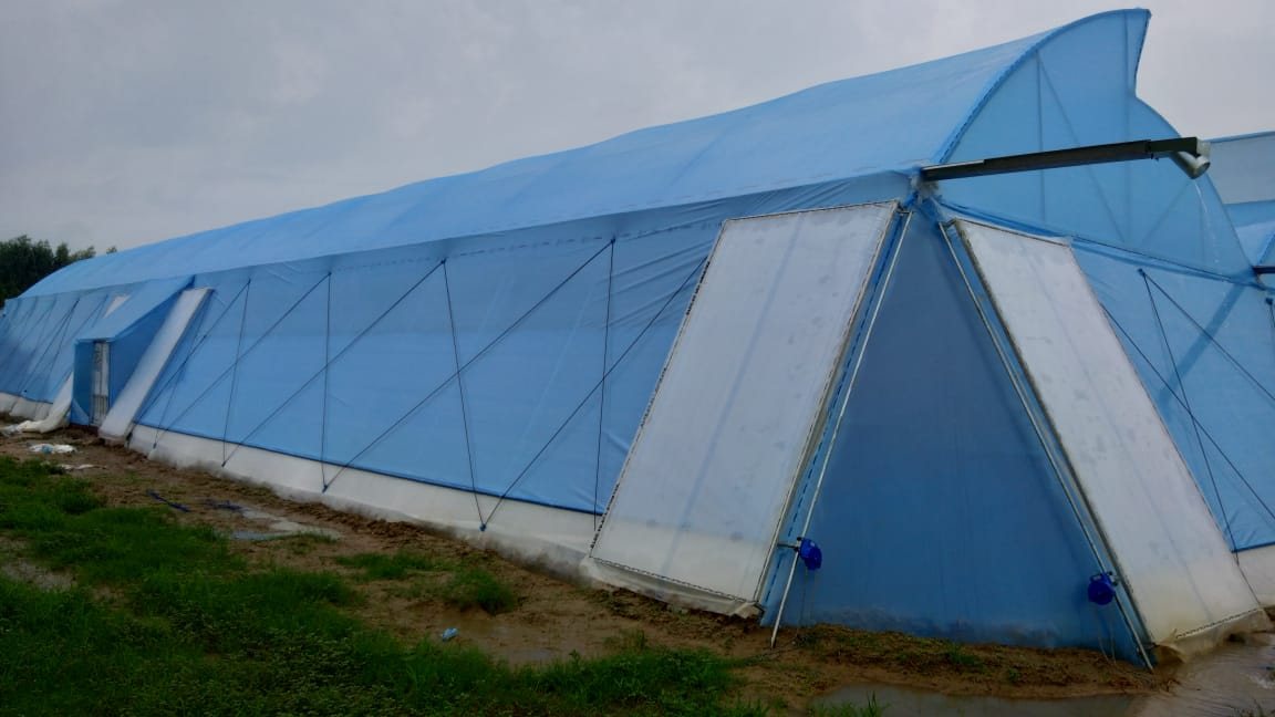 Invernadero con cubierta agrícola